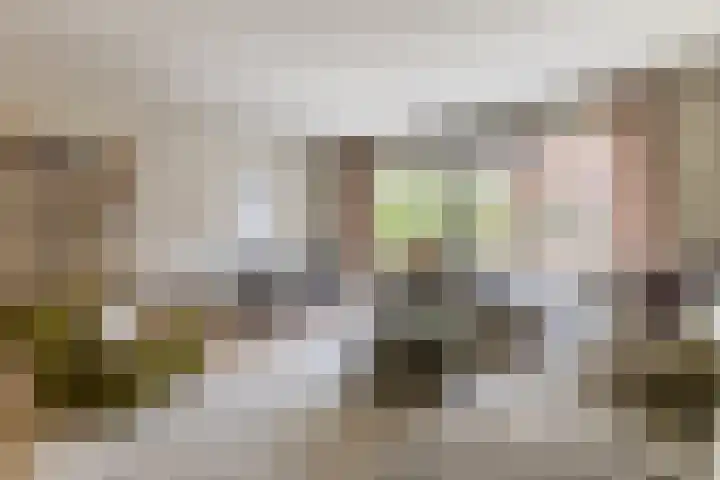 Maria Austriastraat 853 Amsterdam thumbnail 4