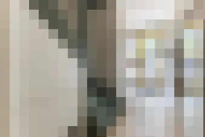 Maria Austriastraat 853 Amsterdam thumbnail 6