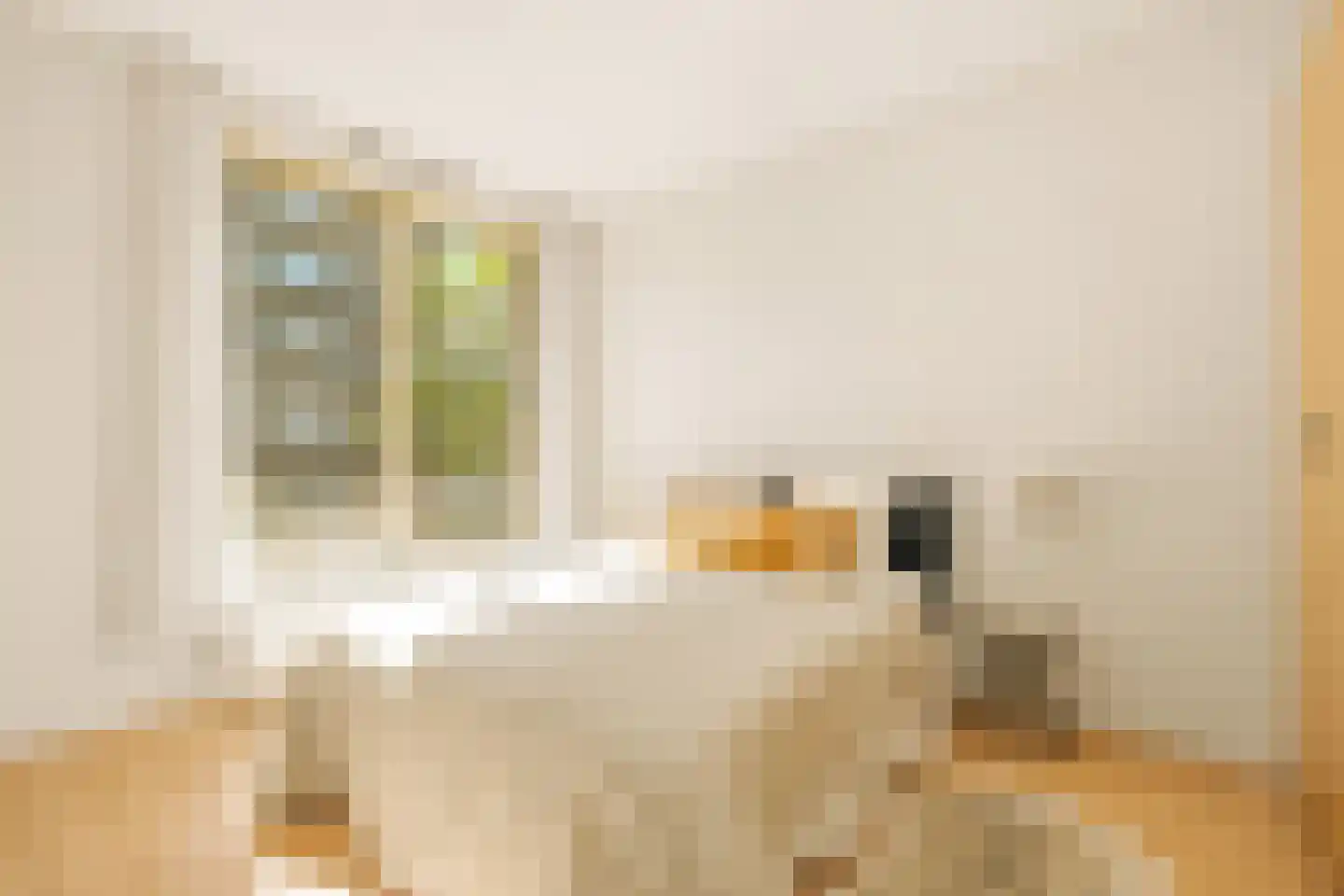 Maria Austriastraat 855 Amsterdam thumbnail 39