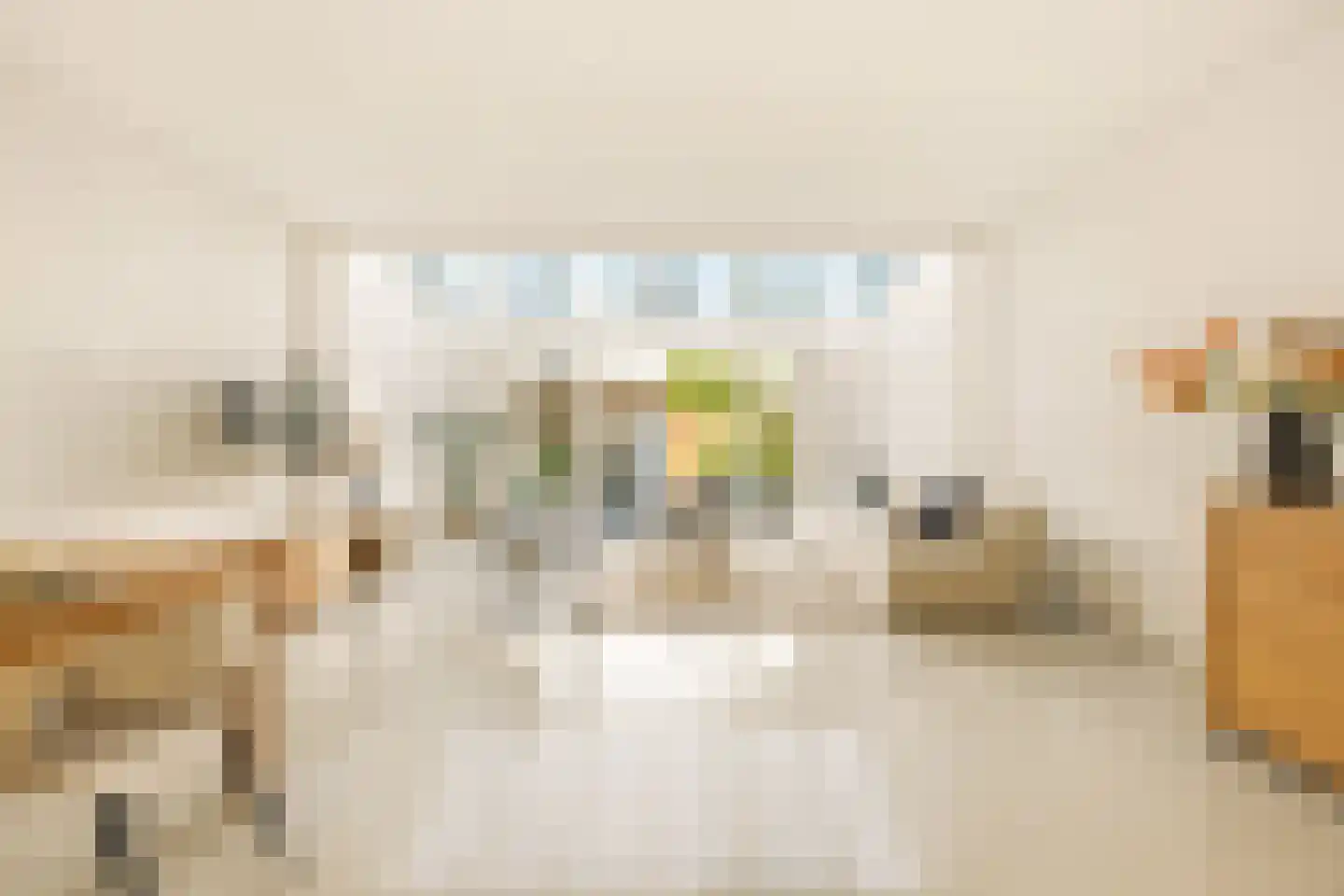 Maria Austriastraat 855 Amsterdam thumbnail 5