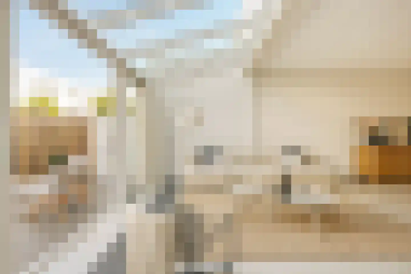 Maria Austriastraat 855 Amsterdam thumbnail 7