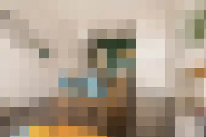 Maria Austriastraat 87 Amsterdam thumbnail 11