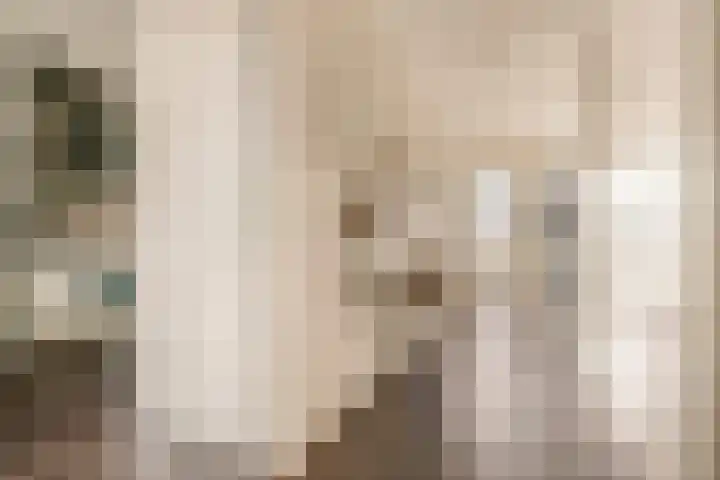 Maria Austriastraat 87 Amsterdam thumbnail 16