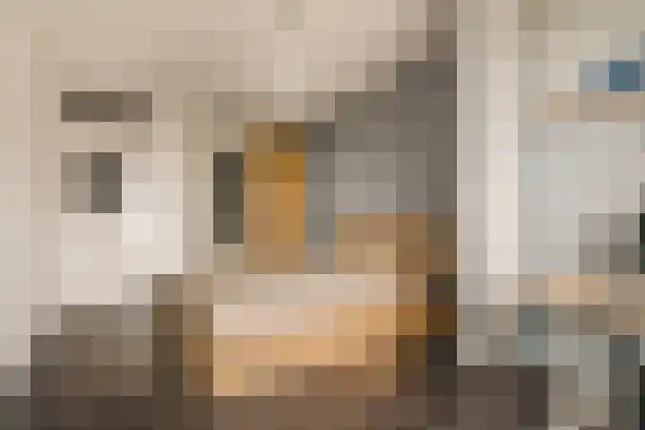 Maria Austriastraat 87 Amsterdam thumbnail 19