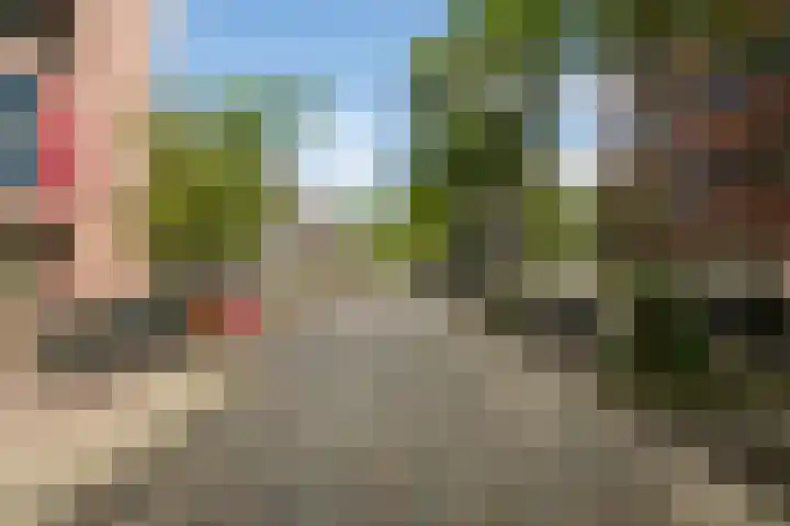Maria Austriastraat 87 Amsterdam thumbnail 28