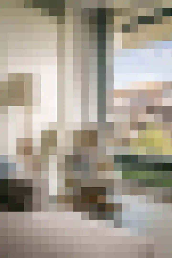 Maria Austriastraat 87 Amsterdam thumbnail 6