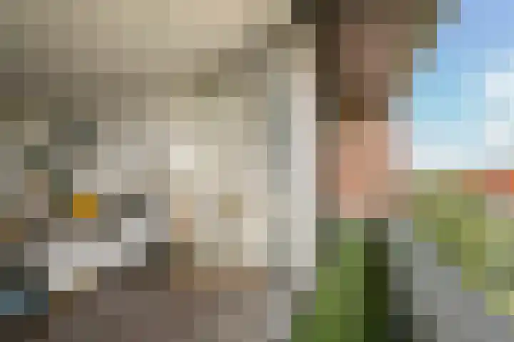 Maria Austriastraat 87 Amsterdam thumbnail 7