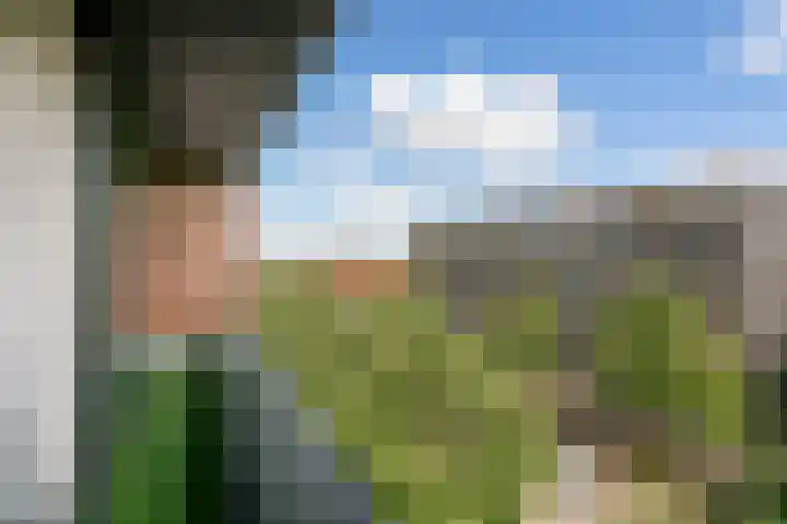 Maria Austriastraat 87 Amsterdam thumbnail 8