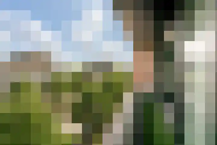 Maria Austriastraat 87 Amsterdam thumbnail 9