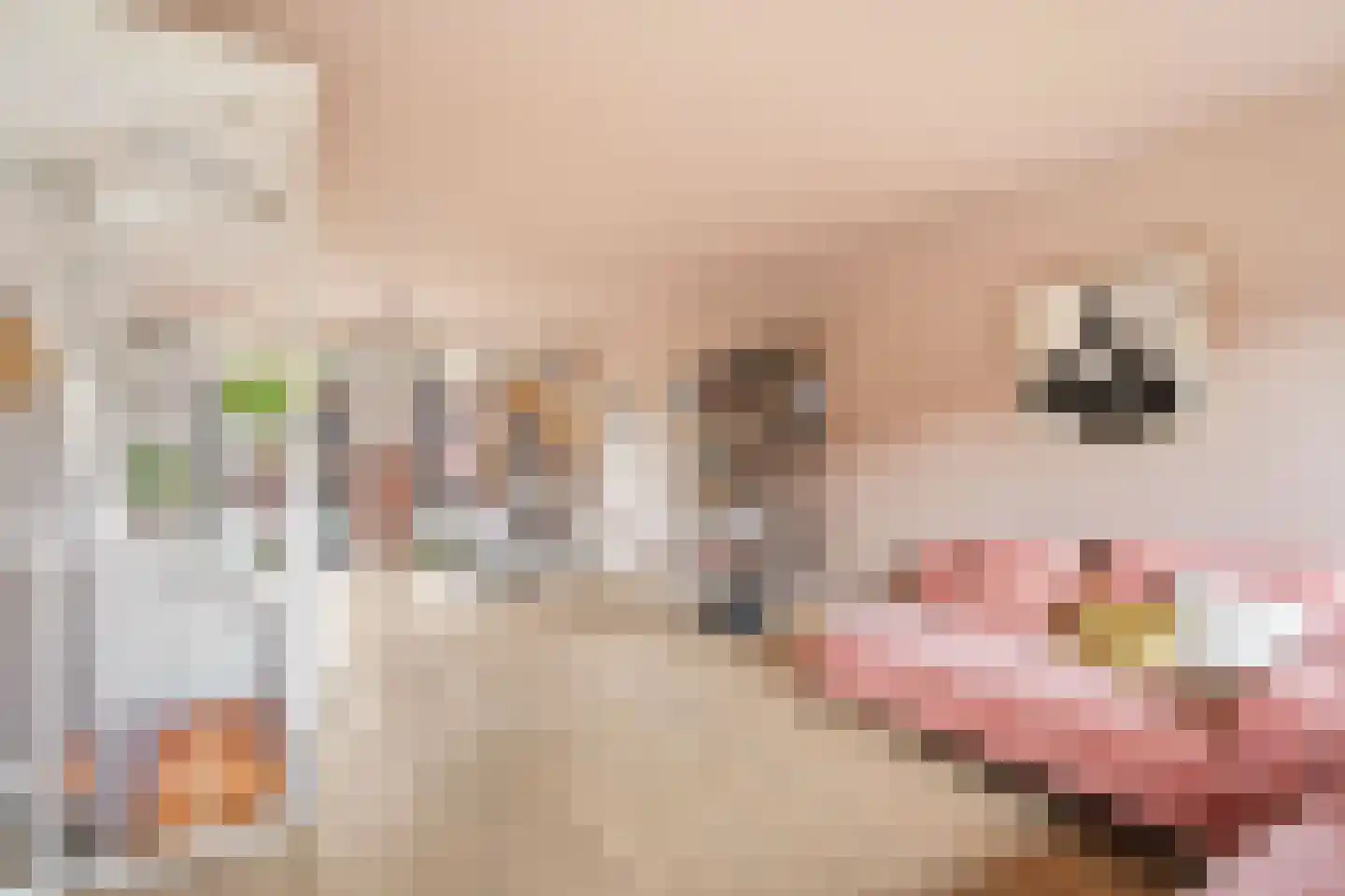 Maria Austriastraat 90 Amsterdam thumbnail 27