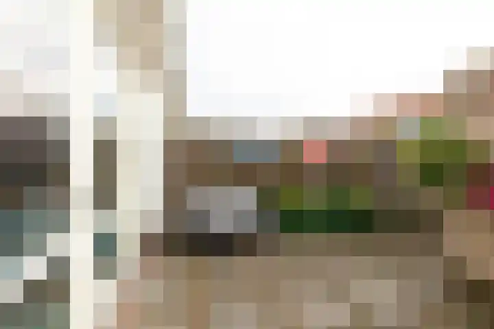 Maria Beshof 32 Hilversum thumbnail 22