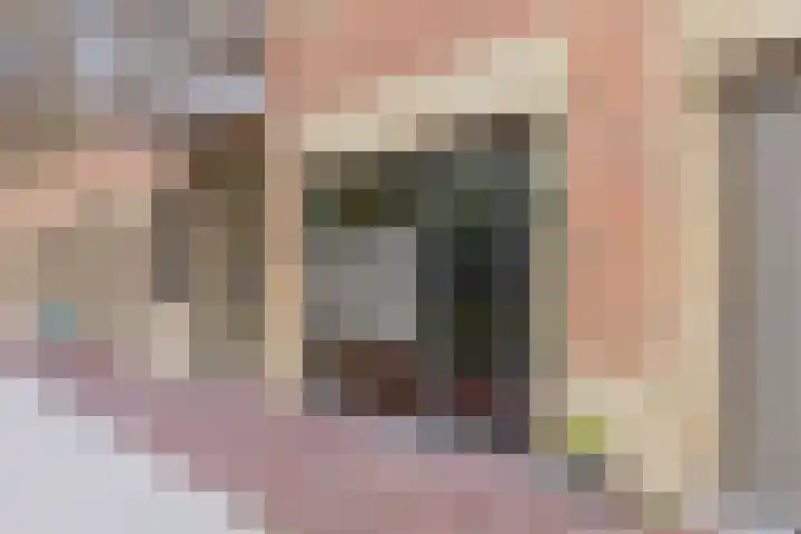 Maria Beshof 4 Amsterdam thumbnail 19