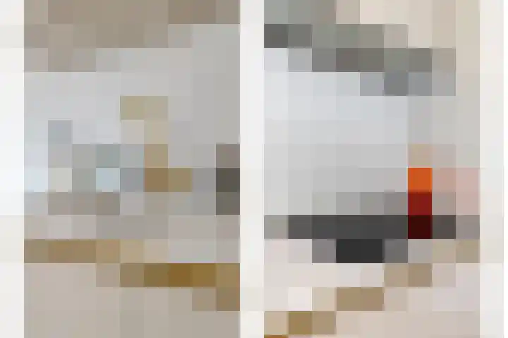 Maria Beshof 4 Amsterdam thumbnail 6