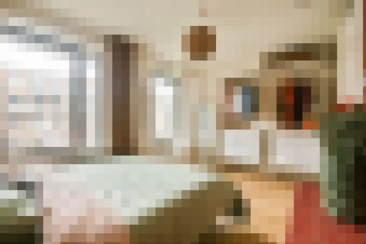 Maria Beshof 54 Amsterdam thumbnail 26