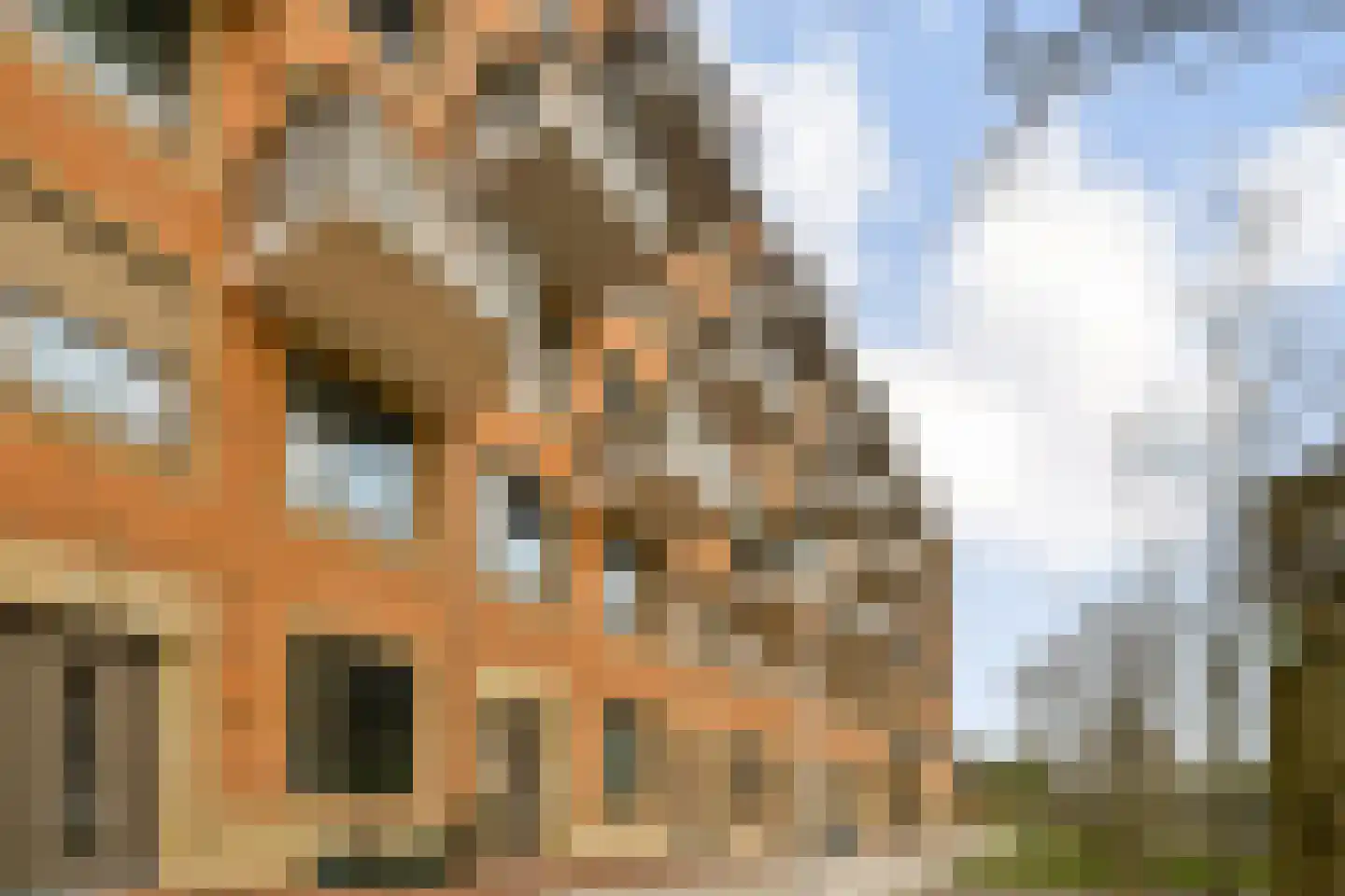 Maria Beshof 54 Amsterdam thumbnail 32