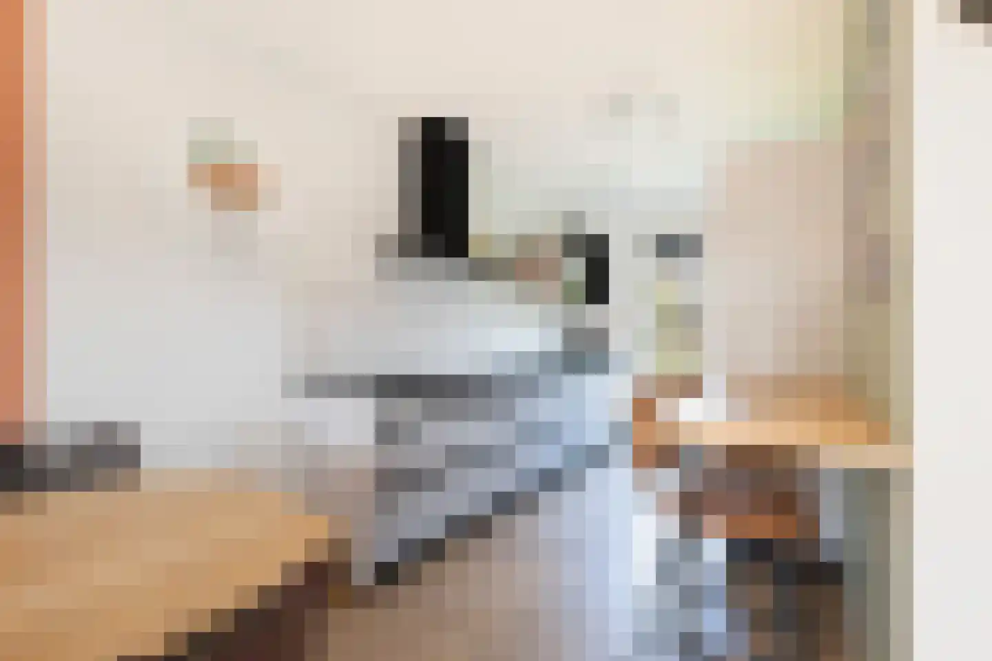 Maria Blomstraat 1 Gouda thumbnail 25