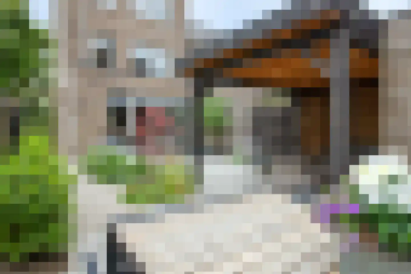 Maria Blomstraat 2 Gouda thumbnail 68