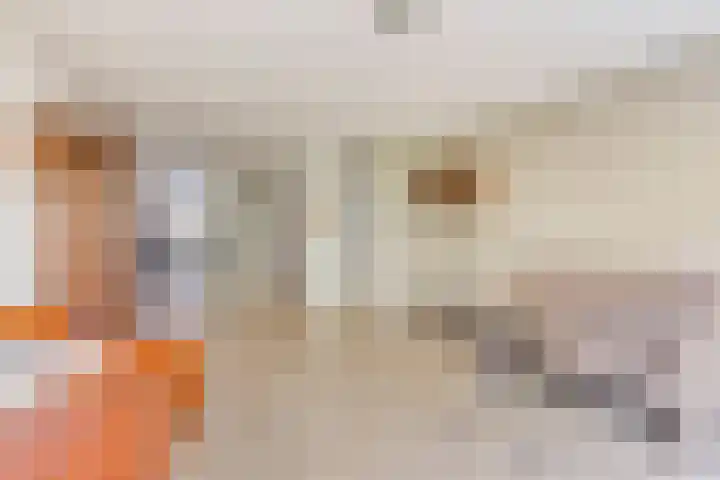 Maria Cherubinastraat 100 Breda thumbnail 10