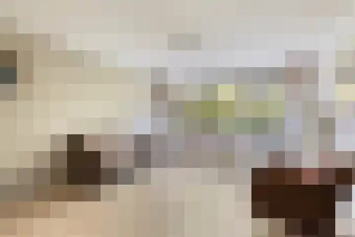 Maria Cherubinastraat 100 Breda thumbnail 11