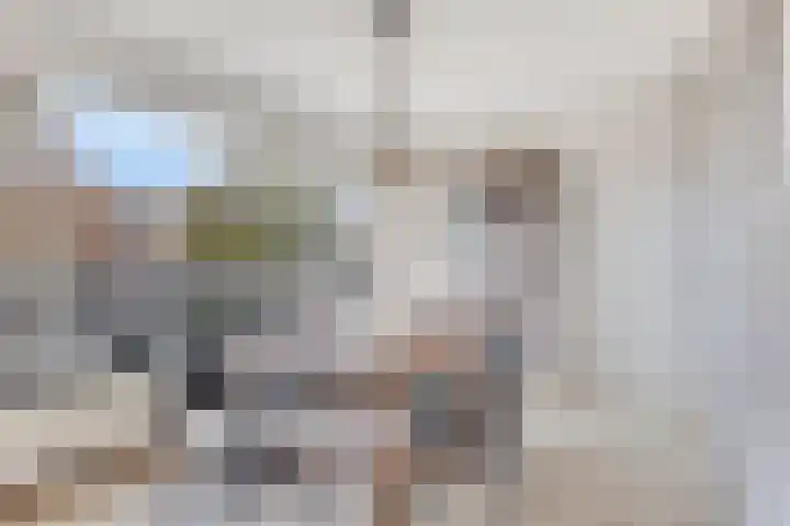Maria Cherubinastraat 100 Breda thumbnail 17