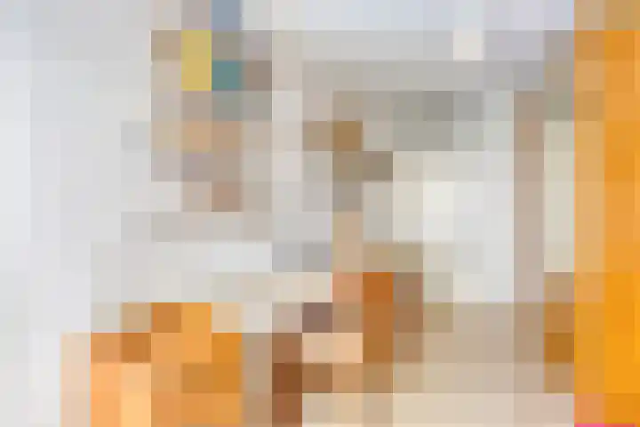 Maria Cherubinastraat 100 Breda thumbnail 24