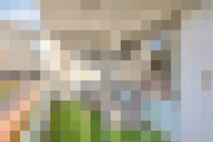 Maria Cherubinastraat 100 Breda thumbnail 28