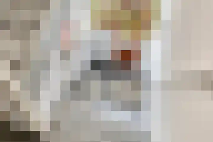 Maria Cherubinastraat 100 Breda thumbnail 5