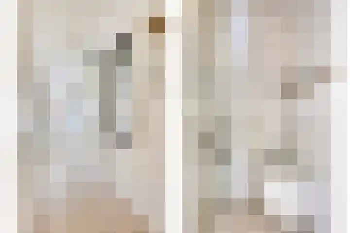 Maria Cherubinastraat 100 Breda thumbnail 8