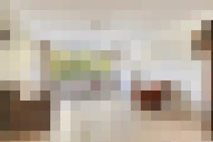 Maria Cherubinastraat 100 Breda thumbnail 9