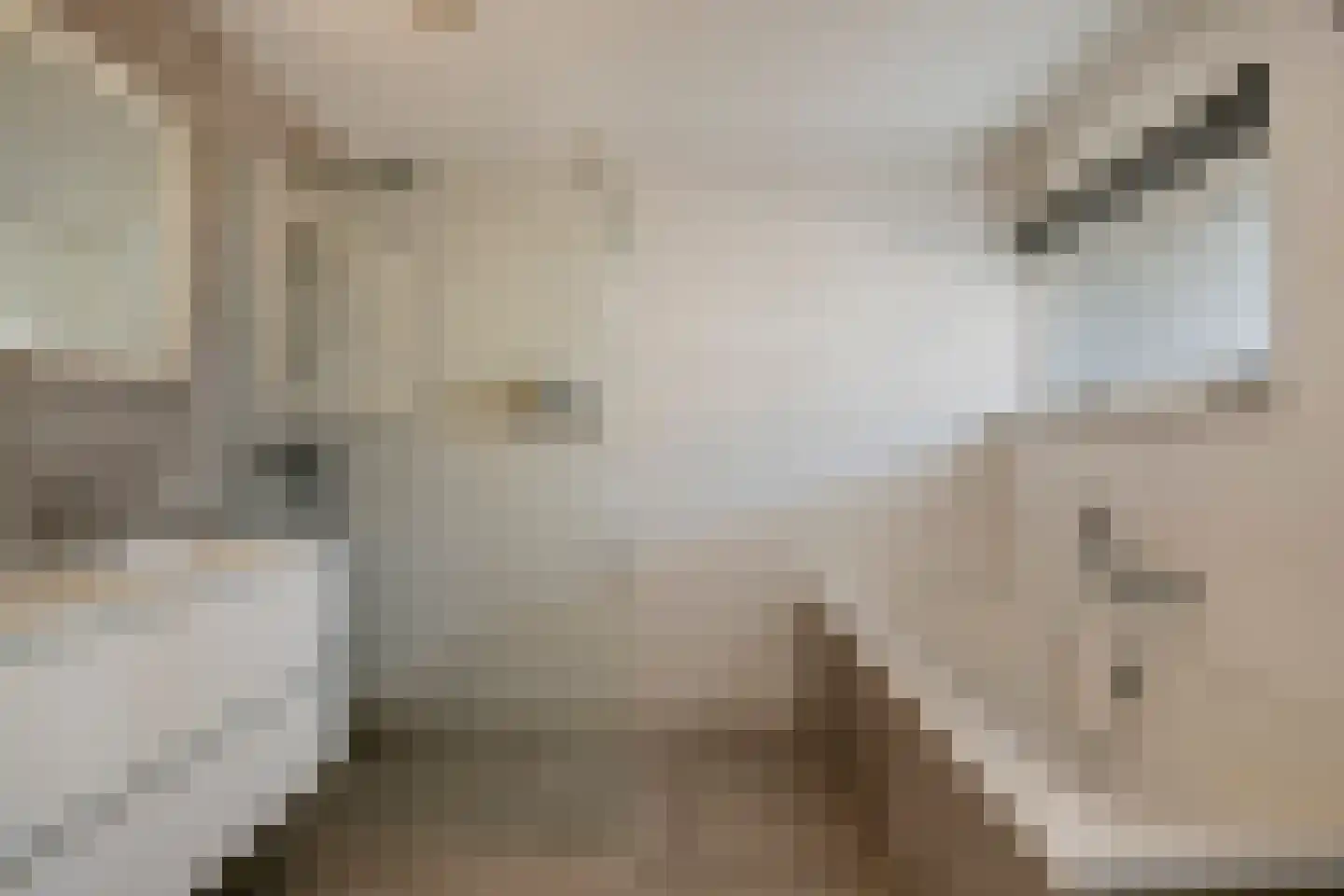 Maria Cherubinastraat 22 Breda thumbnail 17