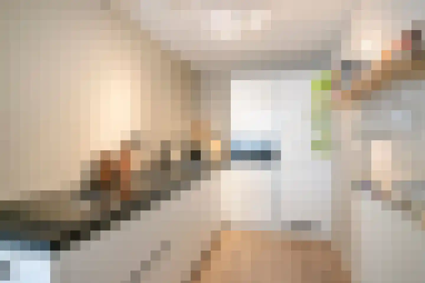 Maria Cherubinastraat 22 Breda thumbnail 7