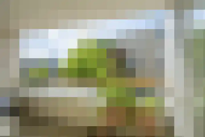 Maria Cherubinastraat 28 Breda thumbnail 18