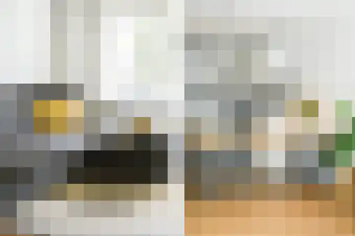 Maria Cherubinastraat 28 Breda thumbnail 24