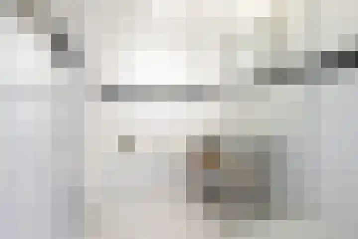 Maria Cherubinastraat 28 Breda thumbnail 36