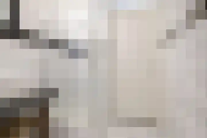 Maria Cherubinastraat 28 Breda thumbnail 37