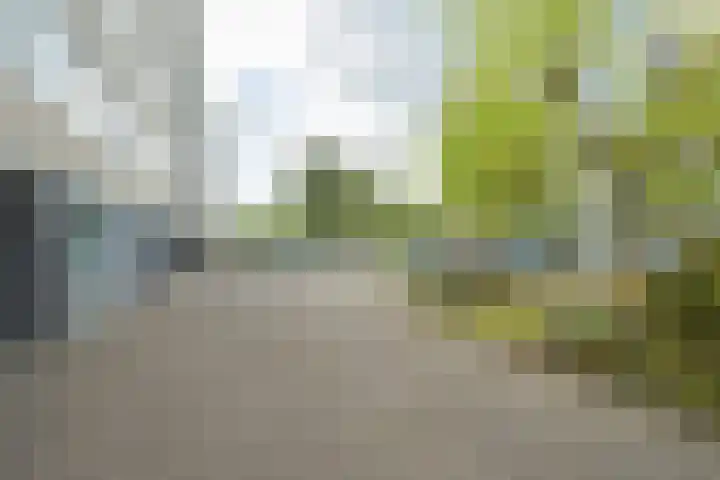 Maria Cherubinastraat 28 Breda thumbnail 42