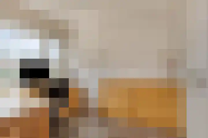 Maria Cherubinastraat 41 Breda thumbnail 16