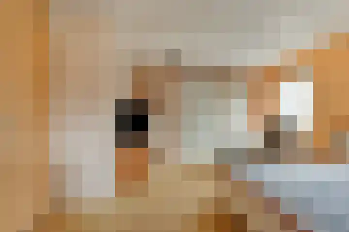 Maria Cherubinastraat 41 Breda thumbnail 18