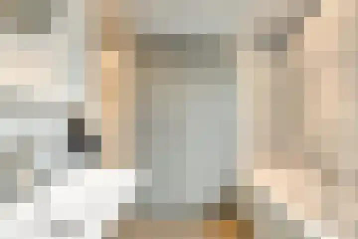 Maria Cherubinastraat 41 Breda thumbnail 21