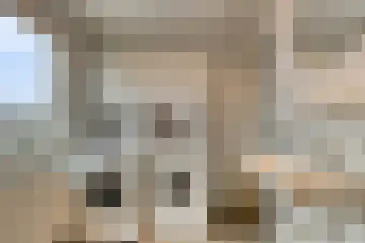 Maria Cherubinastraat 41 Breda thumbnail 23
