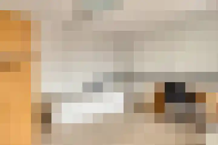 Maria Cherubinastraat 41 Breda thumbnail 24