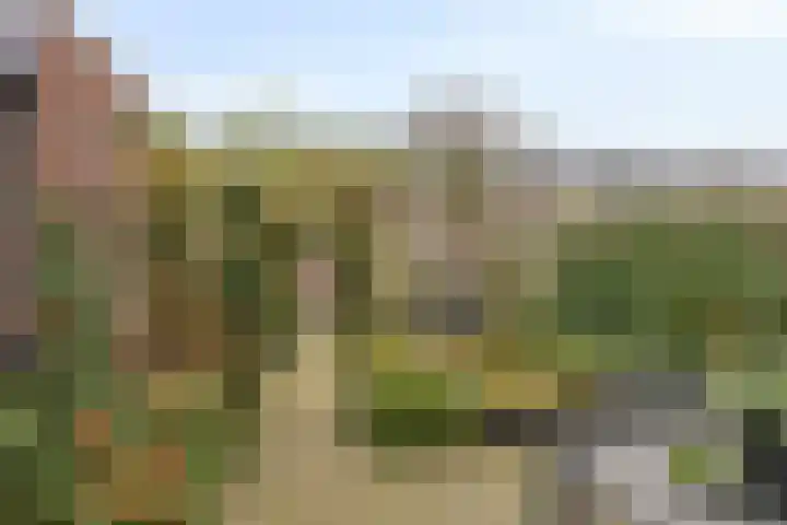 Maria Cherubinastraat 41 Breda thumbnail 30