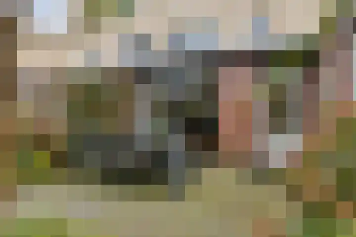 Maria Cherubinastraat 41 Breda thumbnail 31