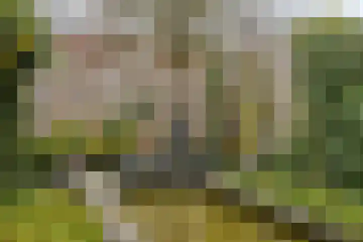 Maria Cherubinastraat 41 Breda thumbnail 32