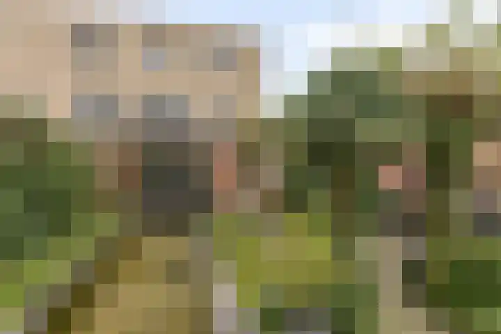 Maria Cherubinastraat 41 Breda thumbnail 33