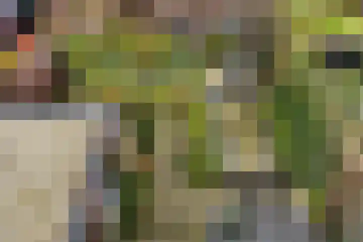 Maria Cherubinastraat 41 Breda thumbnail 34