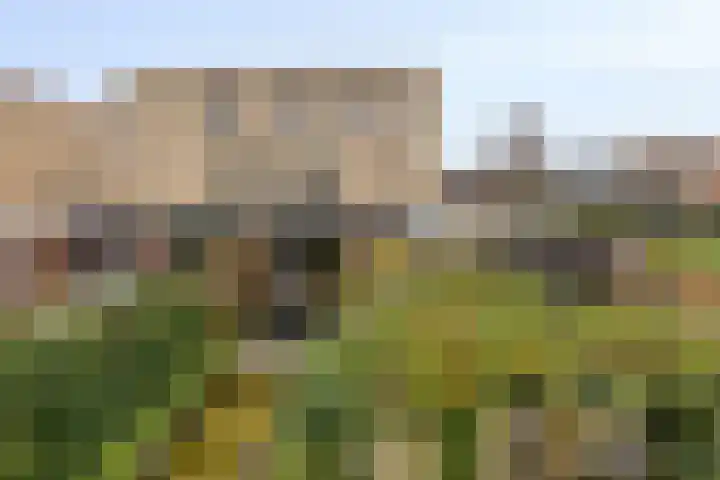 Maria Cherubinastraat 41 Breda thumbnail 4
