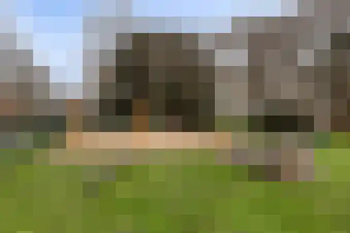 Maria Cherubinastraat 41 Breda thumbnail 42