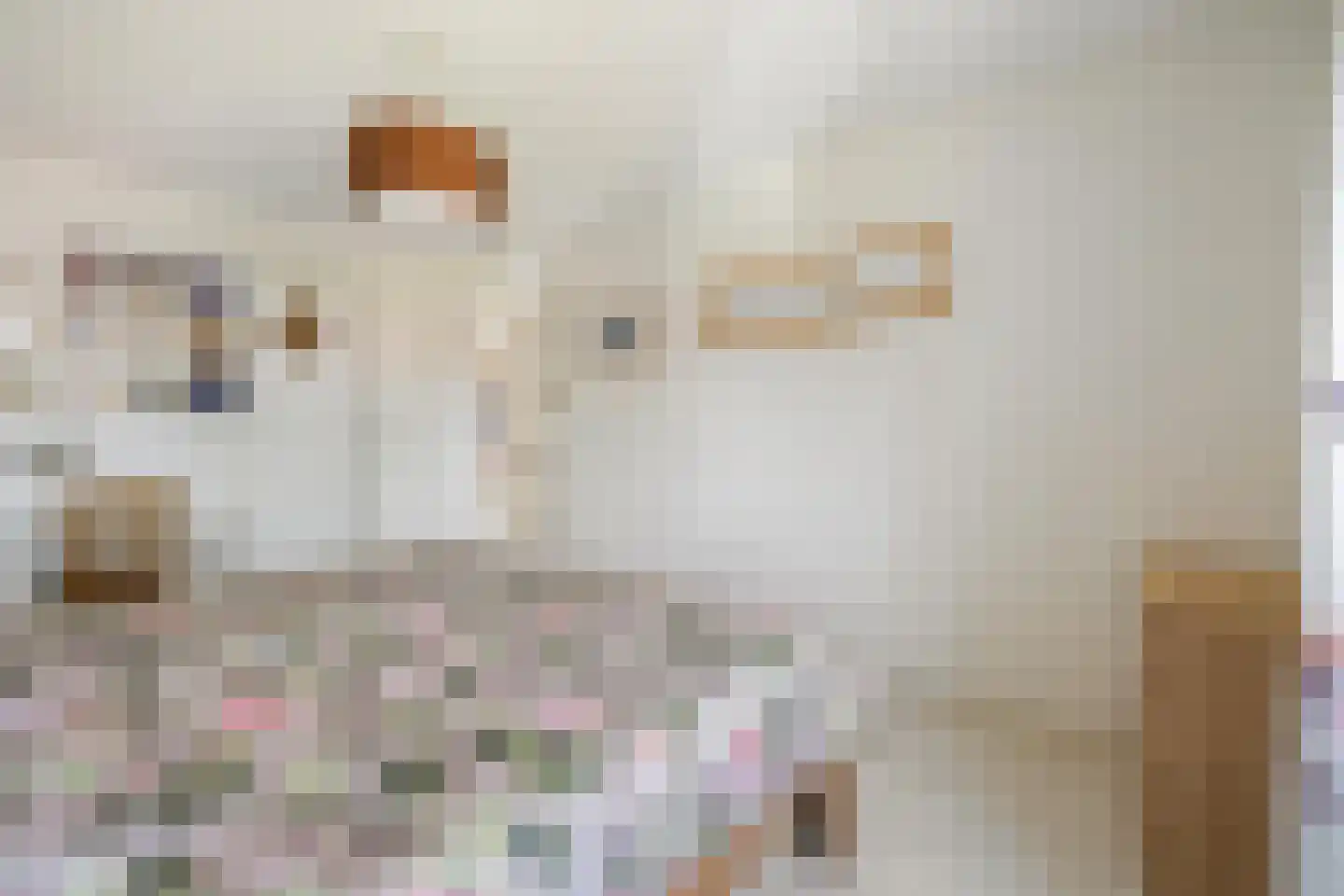 Maria Cherubinastraat 9 Breda thumbnail 41