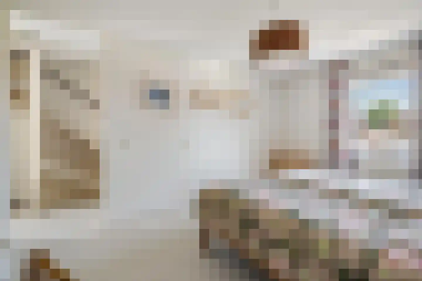 Maria Cherubinastraat 9 Breda thumbnail 42